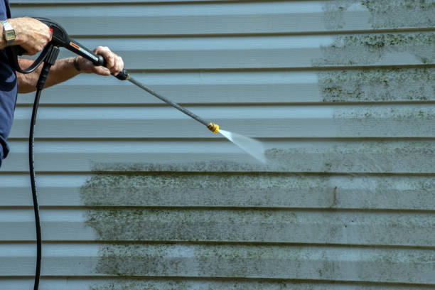 Best Driveway Pressure Washing  in Prceton, IN